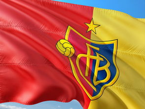 乐鱼体育入口-沃尔夫斯堡球队表现顶尖,取得三分,沃尔夫斯堡球员