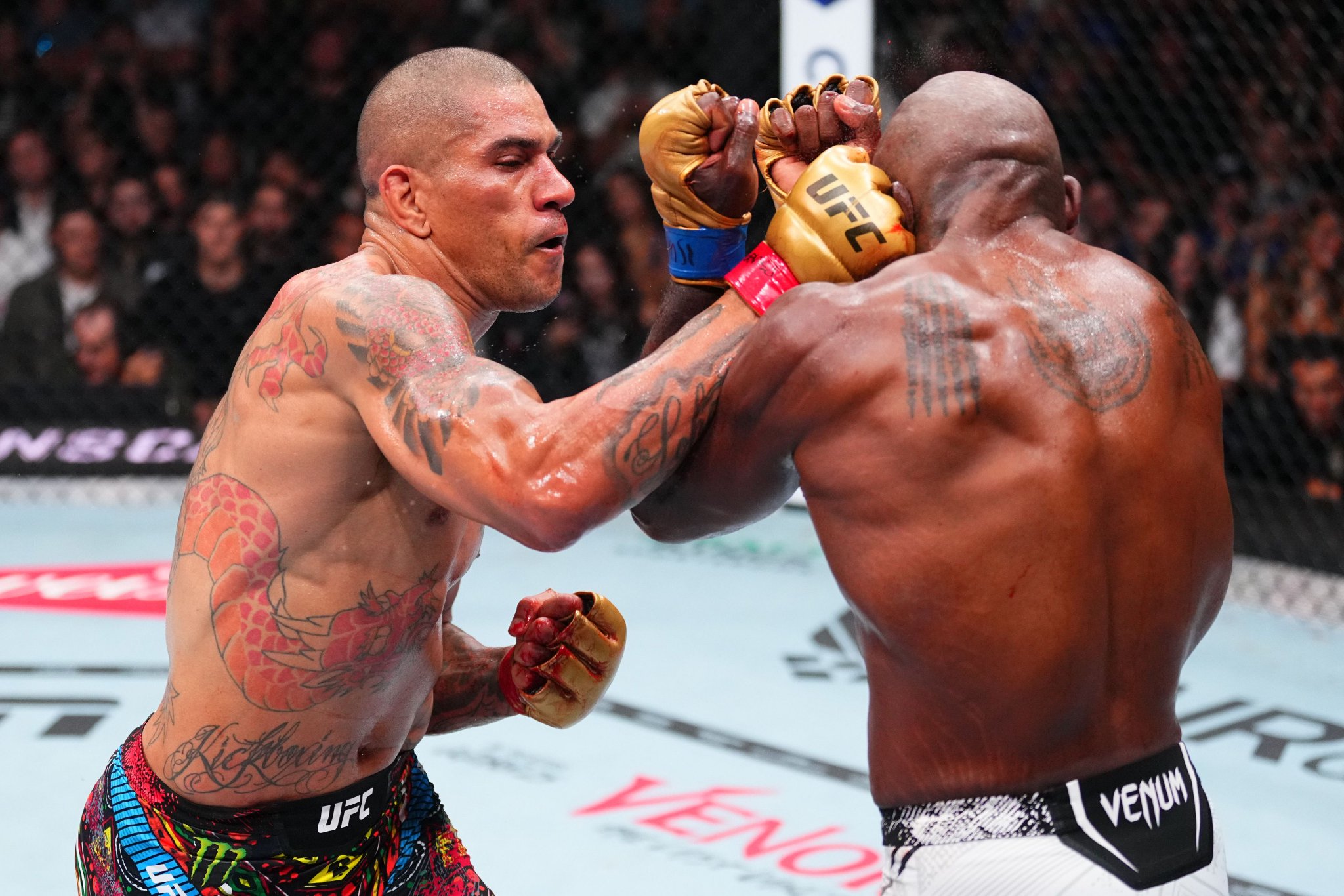 乐鱼体育官方-佩雷拉破门帕尔马客场1-0绝杀乌迪内斯的简单介绍