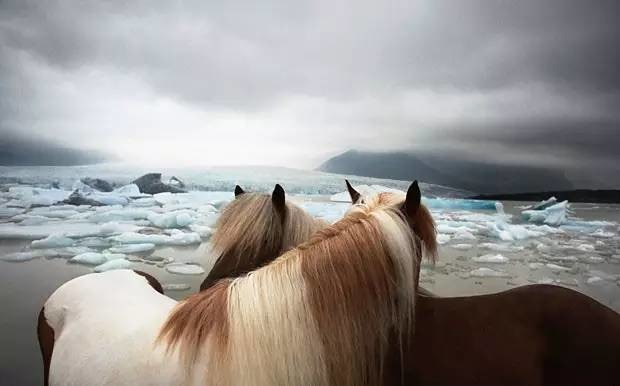 冰岛国家队客场胜出继续前进